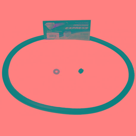 EMPAQUE Y VALVULA 15-17-21 LT